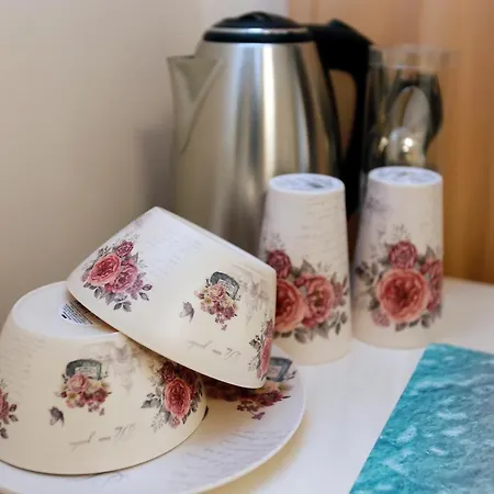 Deluxe 2 Center Apartment *